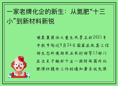 一家老牌化企的新生：从氮肥“十三小”到新材料新锐