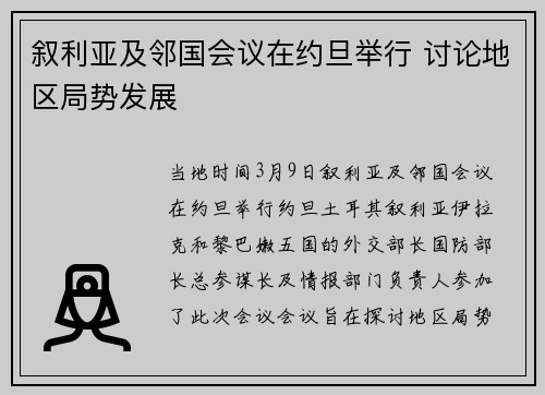 叙利亚及邻国会议在约旦举行 讨论地区局势发展