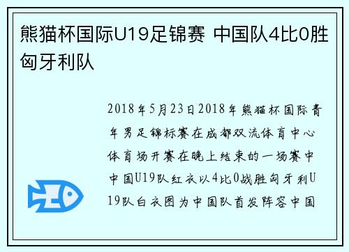 熊猫杯国际U19足锦赛 中国队4比0胜匈牙利队